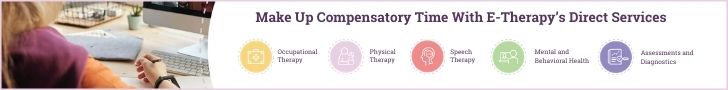 e-therapy direct services for compensatory time